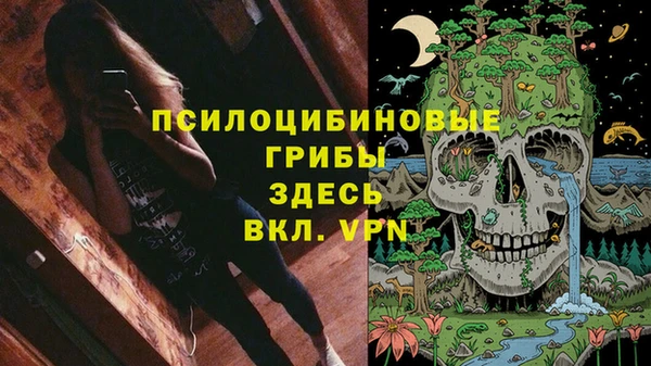 гидра Михайловск