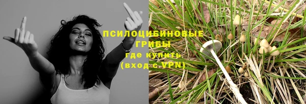 альфа пвп Медногорск