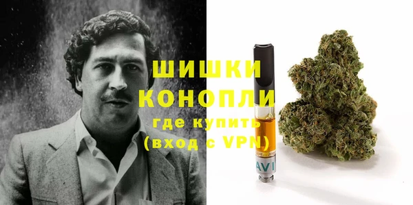 альфа пвп Медногорск