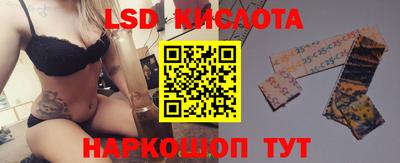 spice Кингисепп