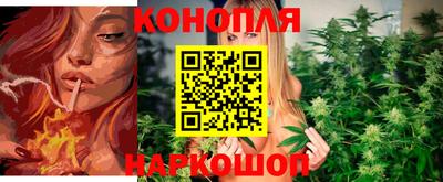 крисы Балашиха