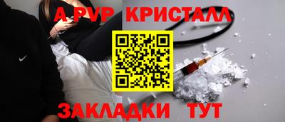 spice Кингисепп