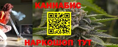 spice Кингисепп