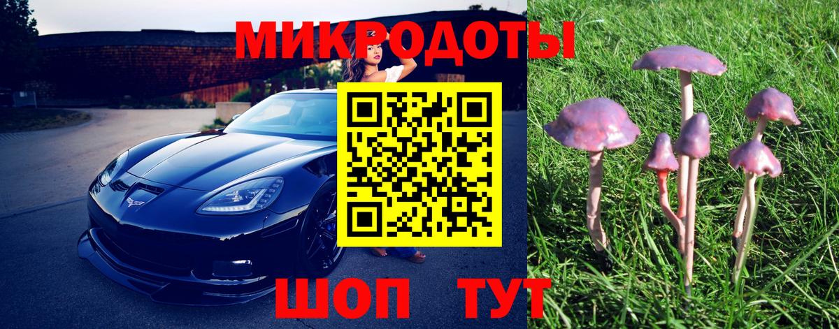 Галлюциногенные грибы мухоморы Малгобек