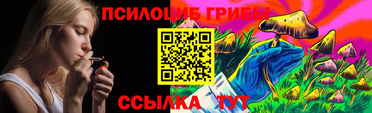 Псилоцибиновые грибы Psilocybe  Вход с VPN  Псилоцибиновые грибы GOLDEN TEACHER  Малгобек 